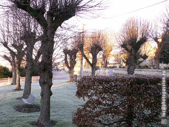 Le square, par un matin de givre.