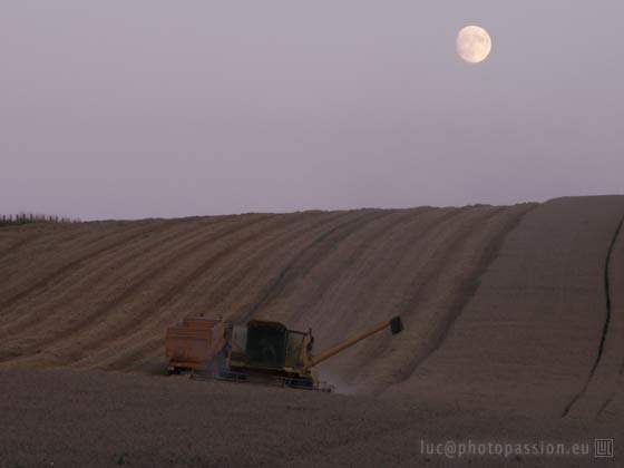 Les moissons se prolongeront autant que n�cessaire durant la nuit.
